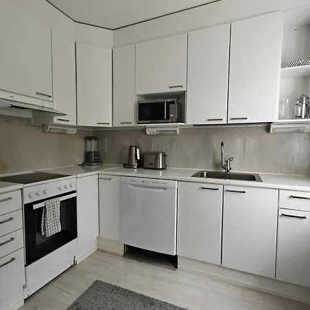 Spacious For 3 With Sauna Appartement Oulu
